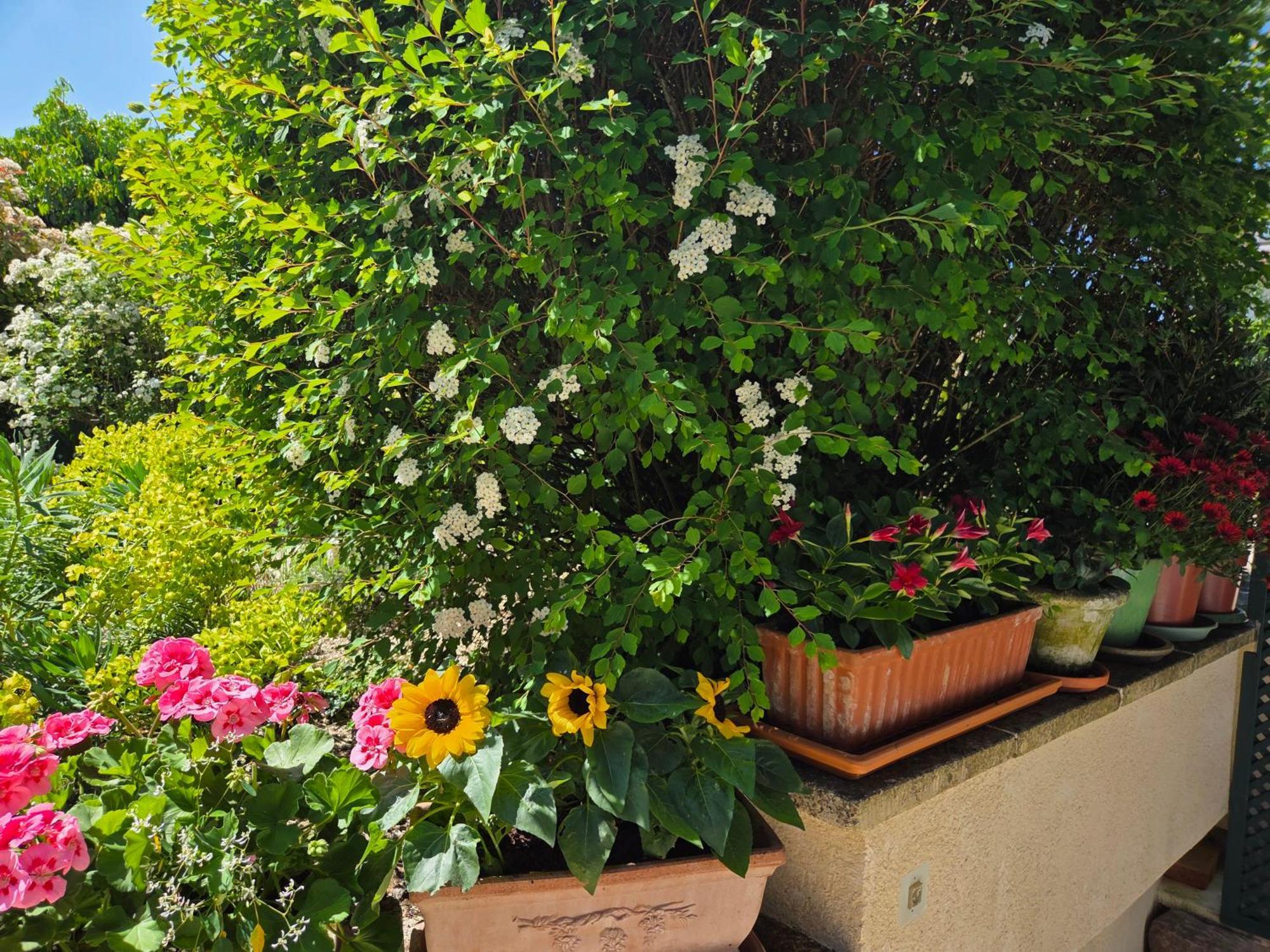Villa Clair Logis Giverny Esterno foto